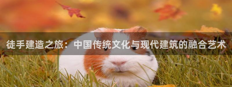 巨星国际资讯官网入口：徒手建造之旅：中国传统文化与现代建筑的融合艺术