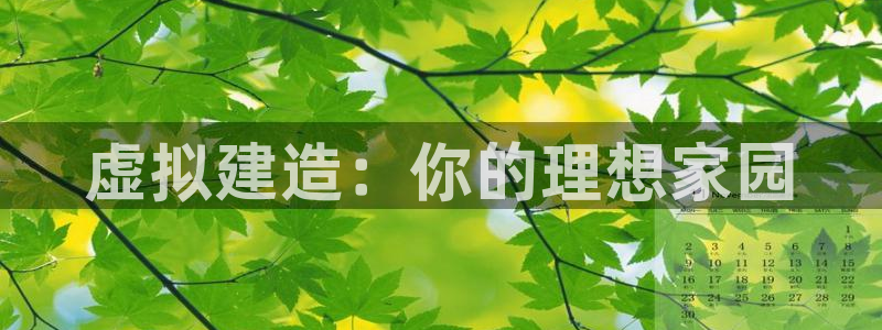 巨星国际社：虚拟建造：你的理想家园