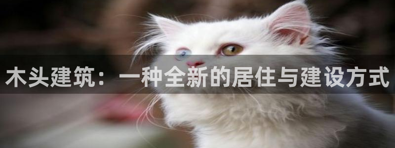 巨星国际垫付金额：木头建筑：一种全新的居住与建设方式