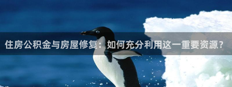 巨星国际资讯官网入口：住房公积金与房屋修复：如何充分利用这一重要资源？