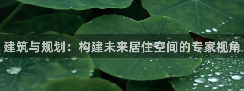 巨星国际简介图片：建筑与规划：构建未来居住空间的专家视角
