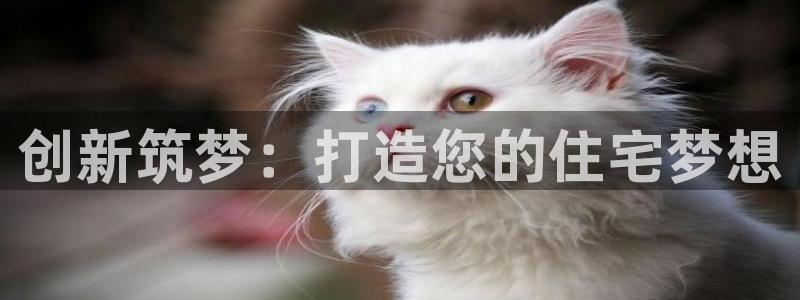 巨星国际网：创新筑梦：打造您的住宅梦想