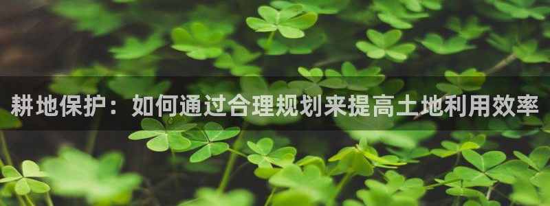 巨星国际客服：耕地保护：如何通过合理规划来提高土地利用效率