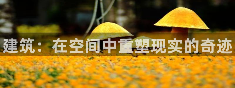 巨星国际赛：建筑：在空间中重塑现实的奇迹