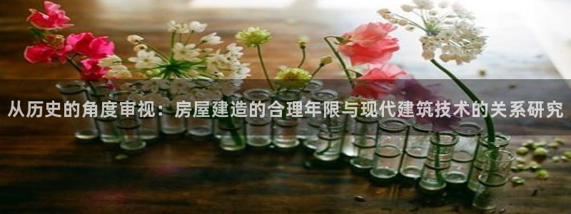 巨星国际系统：从历史的角度审视：房屋建造的合理年限与现代建筑技术的关系研究