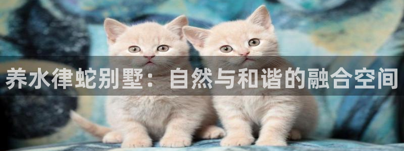 巨星国际中国：养水律蛇别墅：自然与和谐的融合空间