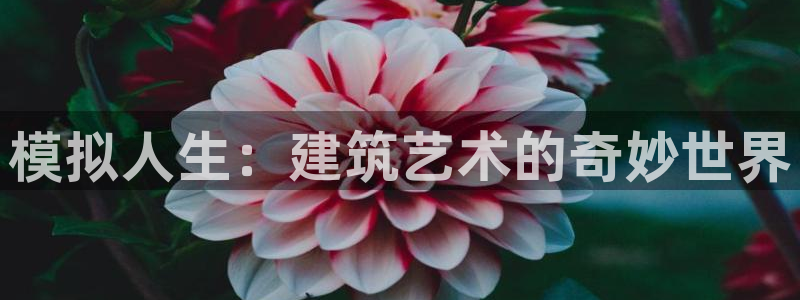 巨星国际游戏软件：模拟人生：建筑艺术的奇妙世界