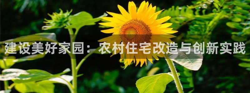 巨星国际理财logo