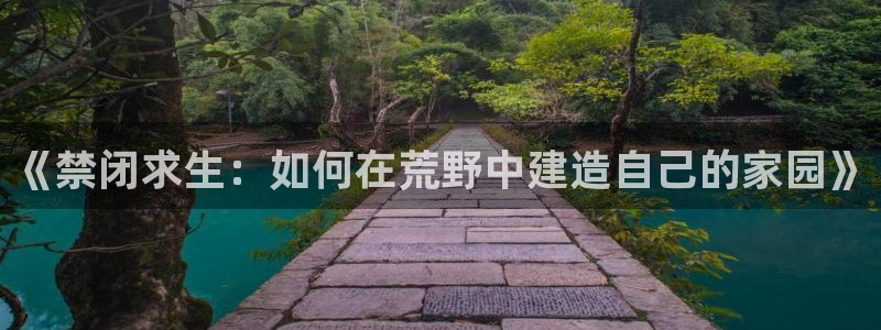 巨星国际币：《禁闭求生：如何在荒野中建造自己的家园》