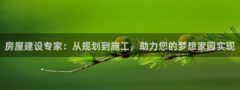 巨星国际赛：房屋建设专家：从规划到施工，助力您的梦想家园实现