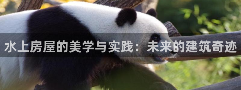 巨星国际游戏大厅下载：水上房屋的美学与实践：未来的建筑奇迹