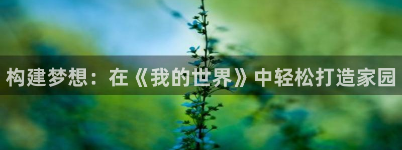 巨星国际大厅有挂吗：构建梦想：在《我的世界》中轻松打造家园