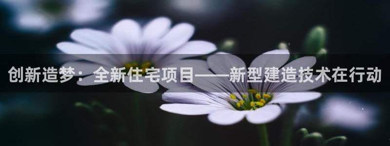 巨星国际系统：创新造梦：全新住宅项目——新型建造技术在行动
