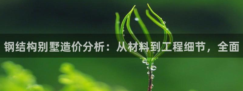 巨星国际垫付金额：钢结构别墅造价分析：从材料到工程细节，全面