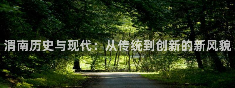 怎么下载巨星国际大厅：渭南历史与现代：从传统到创新的新风貌