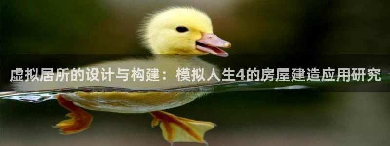 吉林巨星国际：虚拟居所的设计与构建：模拟人生4的房屋建造应用研究