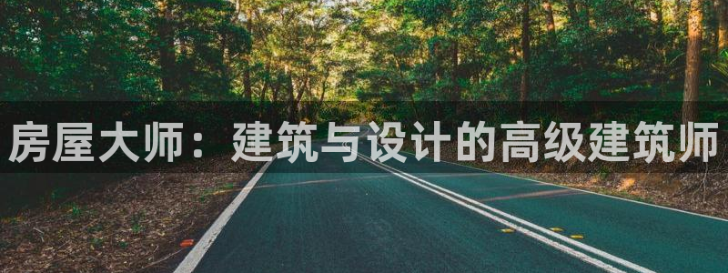 巨星国际传媒：房屋大师：建筑与设计的高级建筑师