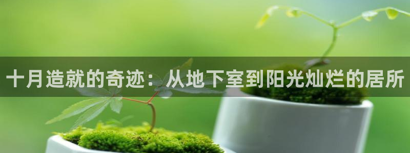 巨星国际登录：十月造就的奇迹：从地下室到阳光灿烂的居所