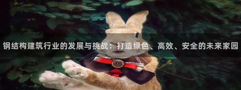 巨星国际管理集团：钢结构建筑行业的发展与挑战：打造绿色、高效、安全的未来家园