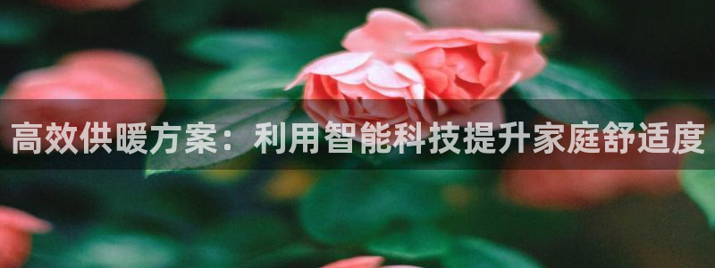 巨星国际系统：高效供暖方案：利用智能科技提升家庭舒适度